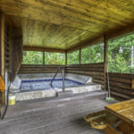 cabin 3 (25)